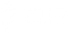 Zup